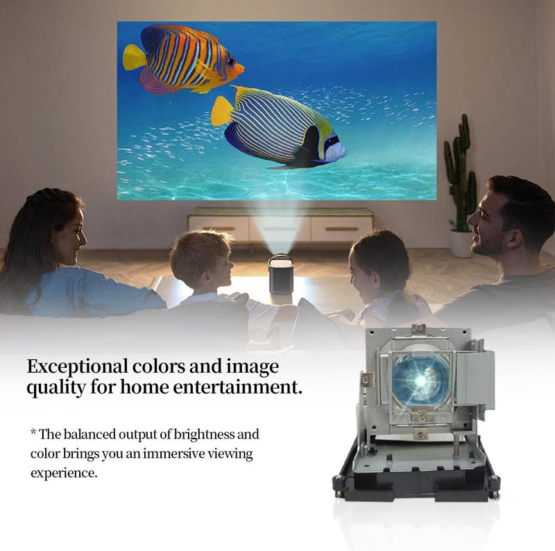 SORNEICDR مصباح بديل لبروجكتور BL-FU310B / 5811118436-SOT متوافق مع بروجكتورات OPTOMA DH1014 DH1017 EH500 X600، مع هيكل - Image 5